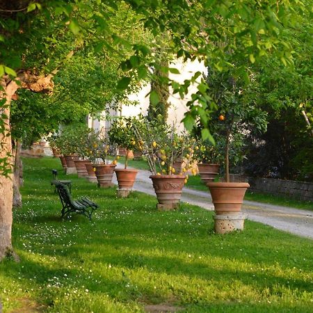 Апартаменты Ginestra Поджибонси Экстерьер фото